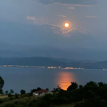 View *